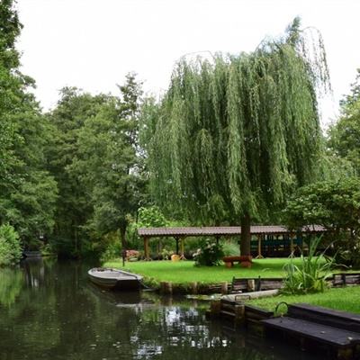 PG麻将胡了免费版下载手机版